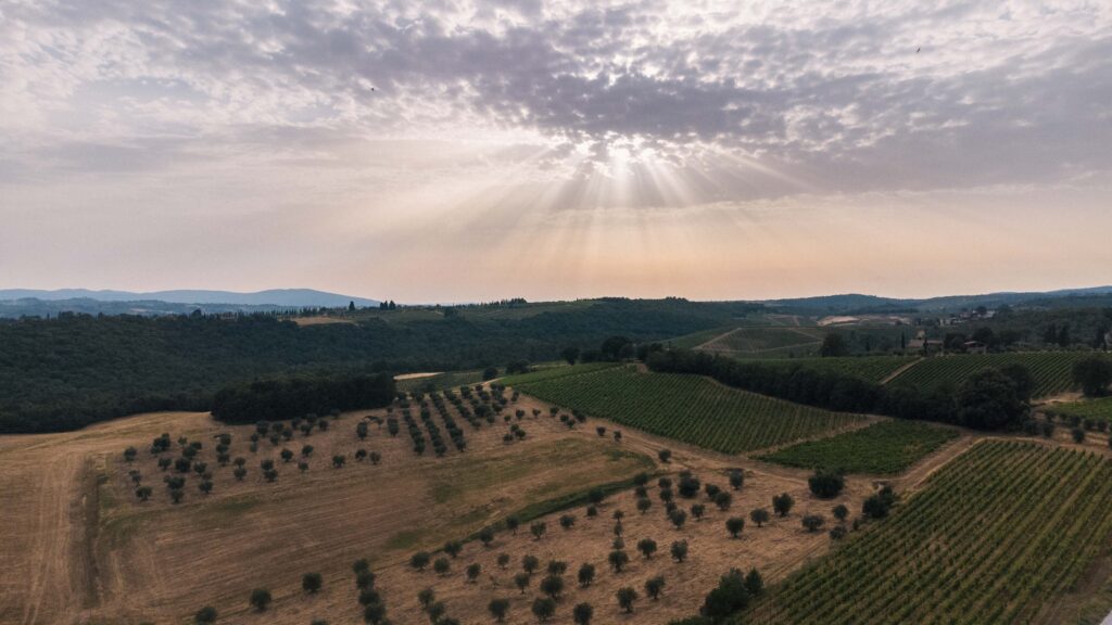 Chianti vs Val d'Orcia