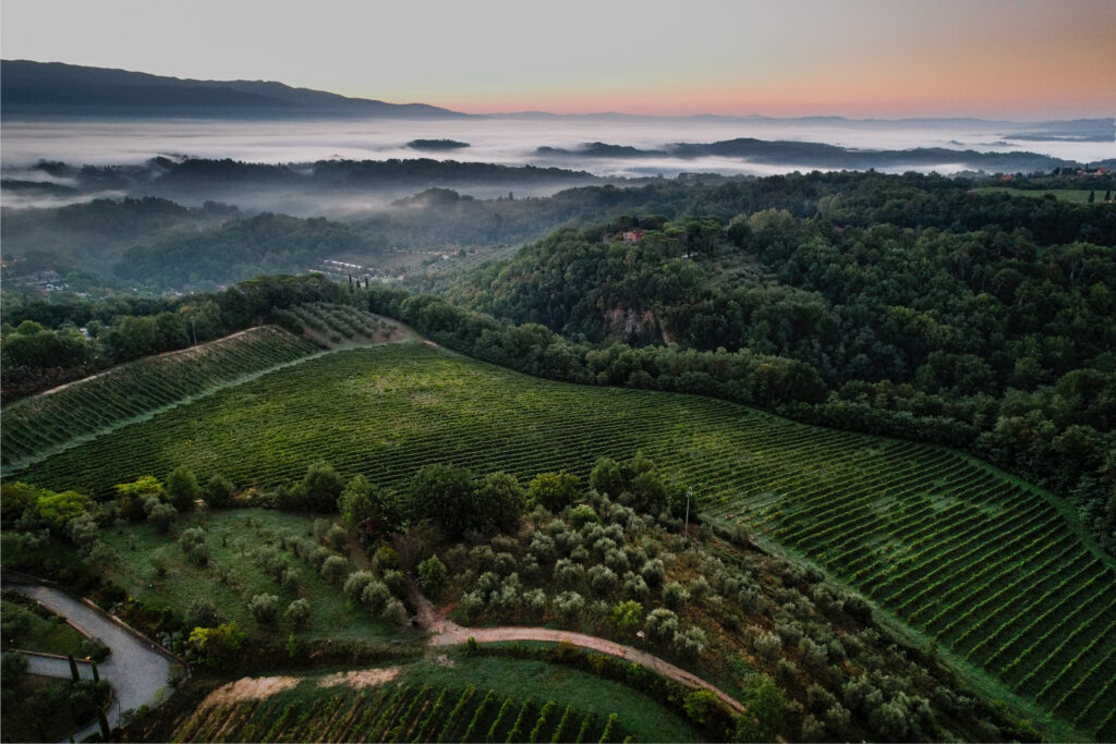 Villa toscana per matrimoni